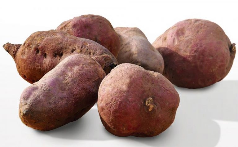 Batata Características Cultivo Beneficios Y Propiedades Medicinales 8786