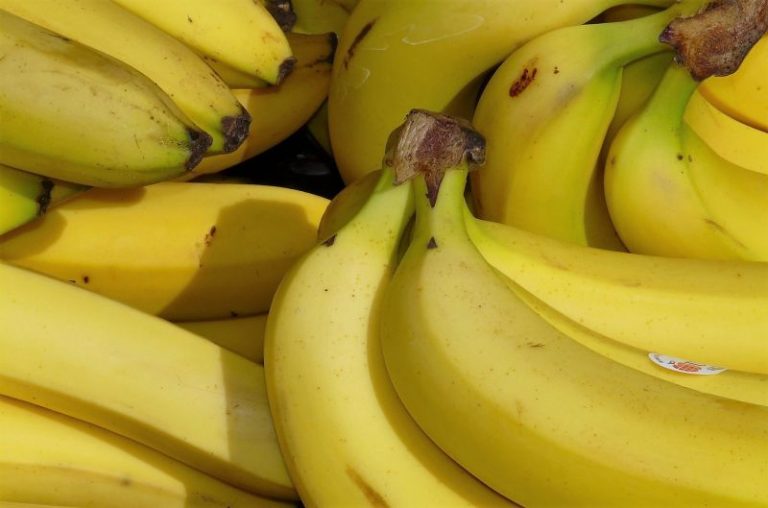 Banana | Características, beneficios y propiedades | Banano | Fruta, árbol