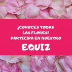 Banner conoces todas las flores